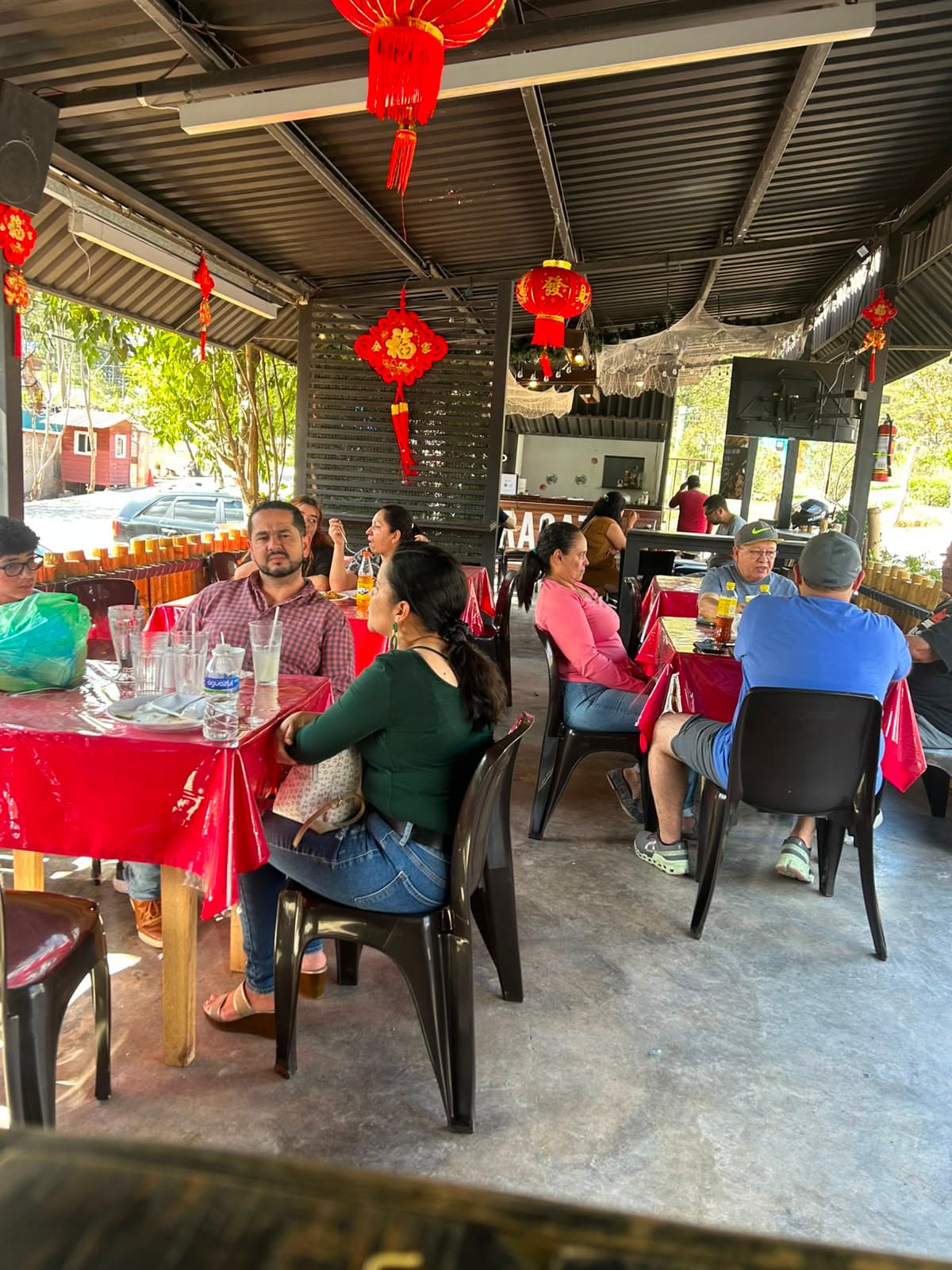 Bambú Oriental — foto 3 de 4
