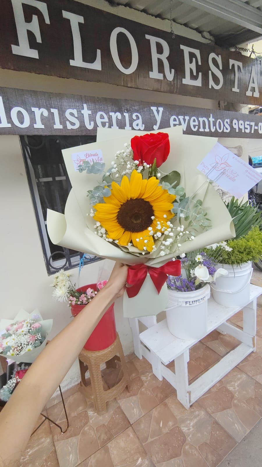 Floresta — foto 5 de 5